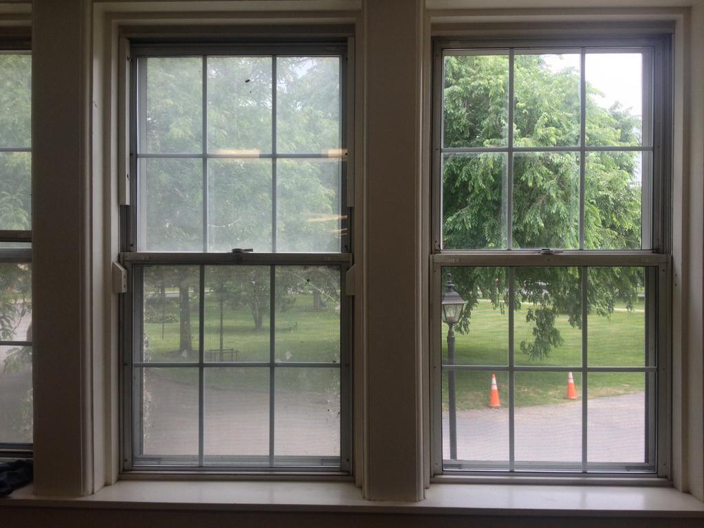 Two adjacent gridded windows look out onto a park with green trees, a paved path, a lamppost, and two orange traffic cones.