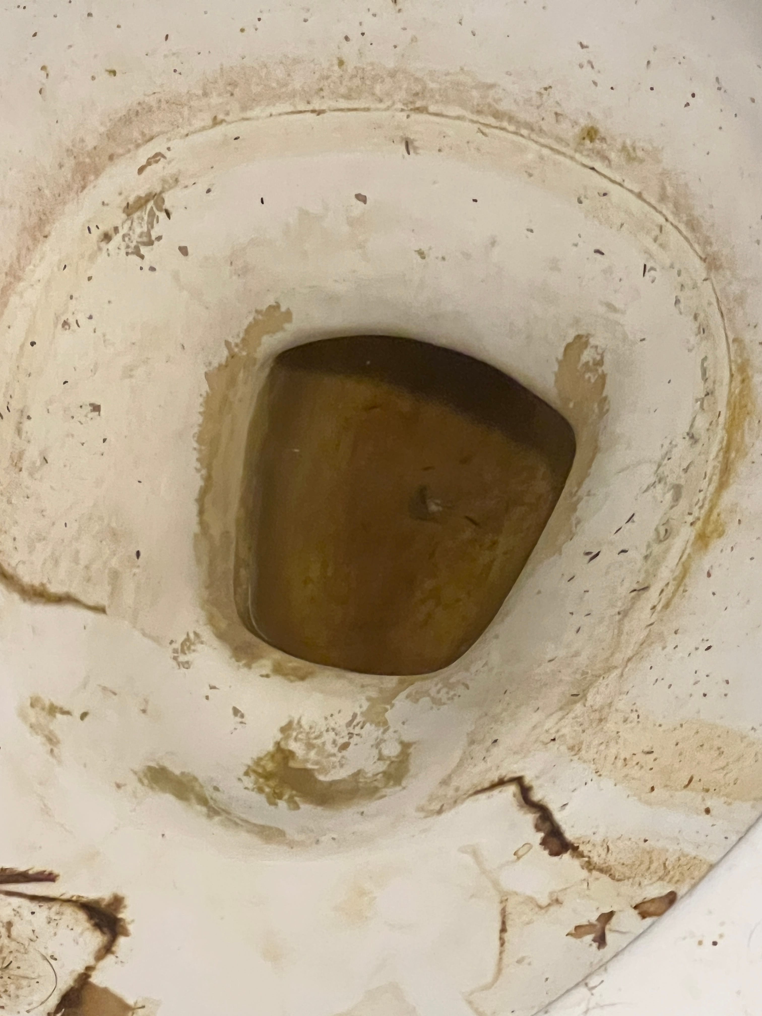 Heavily stained and dirty toilet bowl with dark brown water and numerous specks.