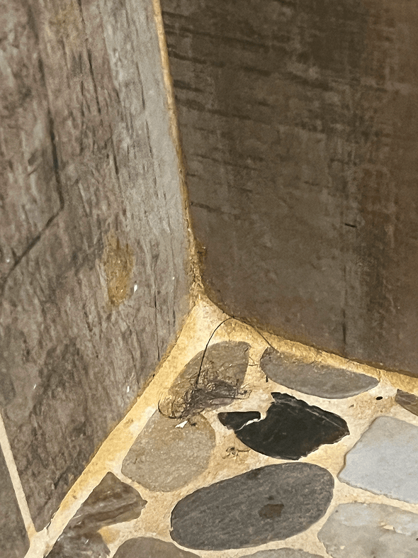 A spacious, clean kitchen featuring brown wooden cabinets, granite countertops, a central island, stainless steel appliances, a tiled floor, and two windows with blinds.